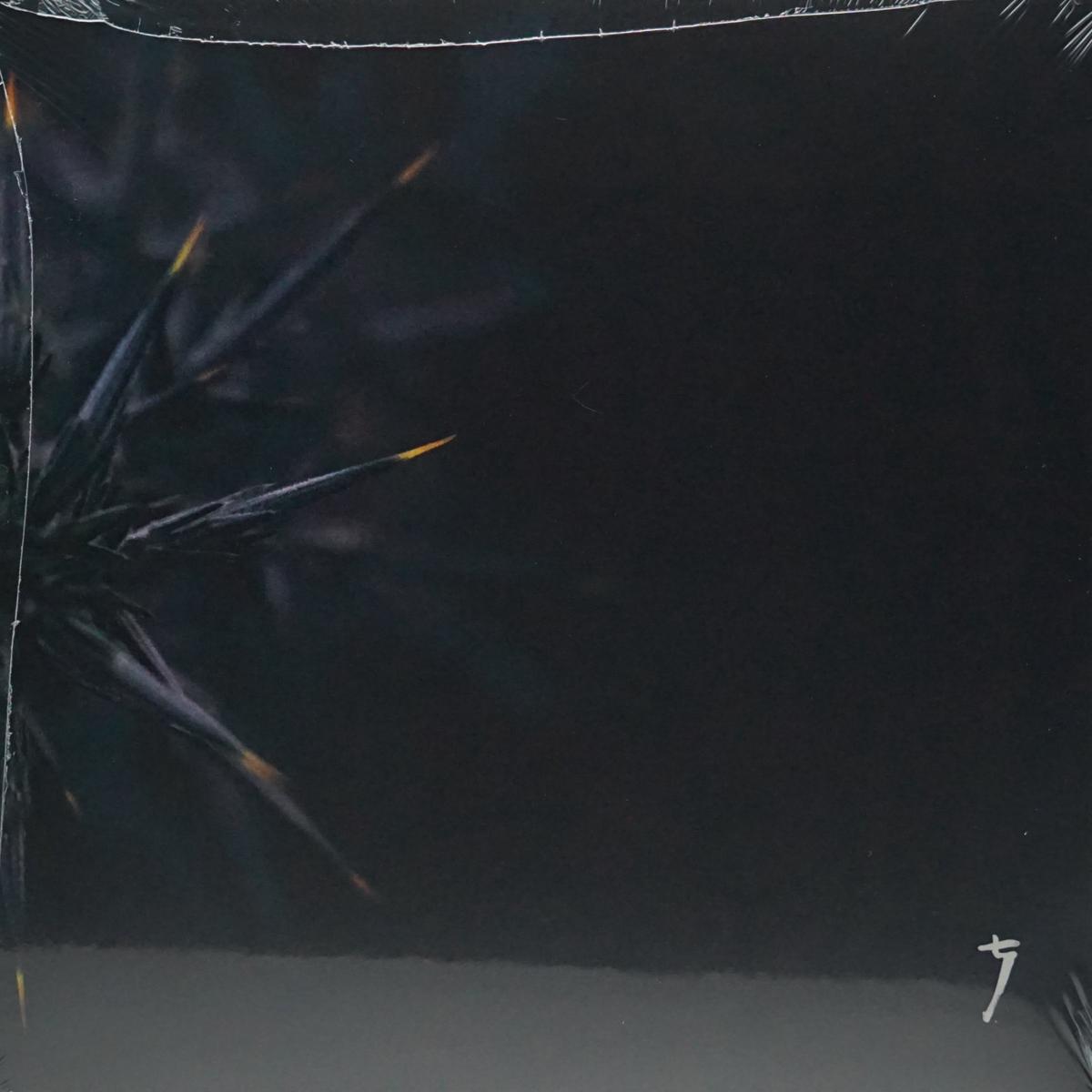 REFRACTED IN VEIL