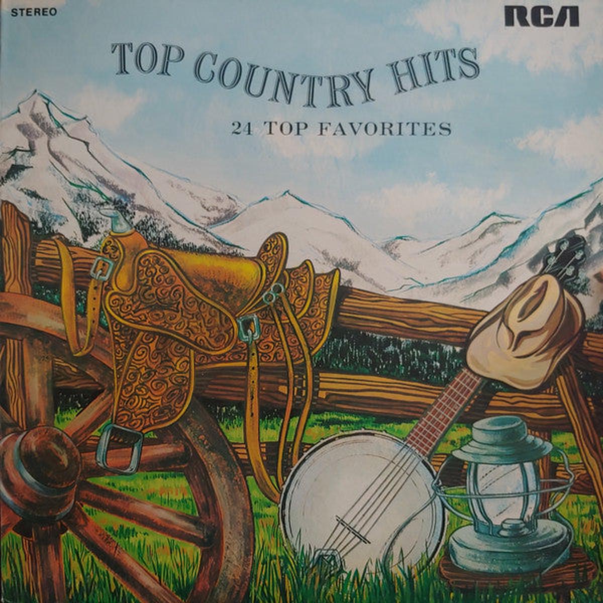 Top Country Hits 24 Top Favorites (16 artists) 2 lp set - Country (Vinyl)