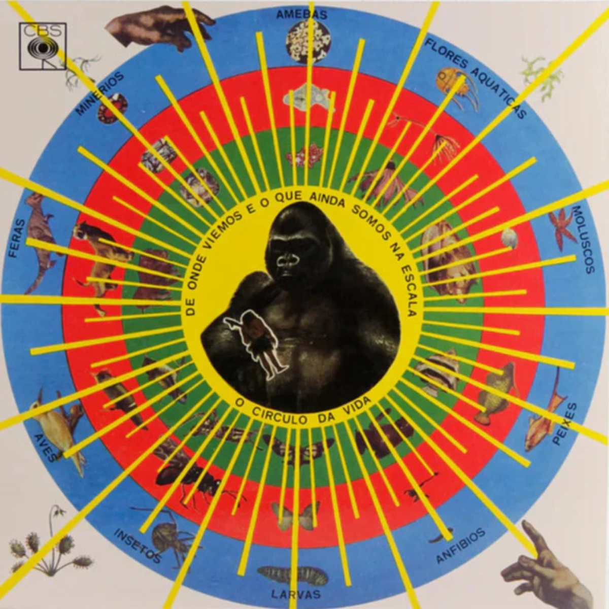 Pedro Santos - Krishnanda (Mr Bongo) (Arrives in 30 days)