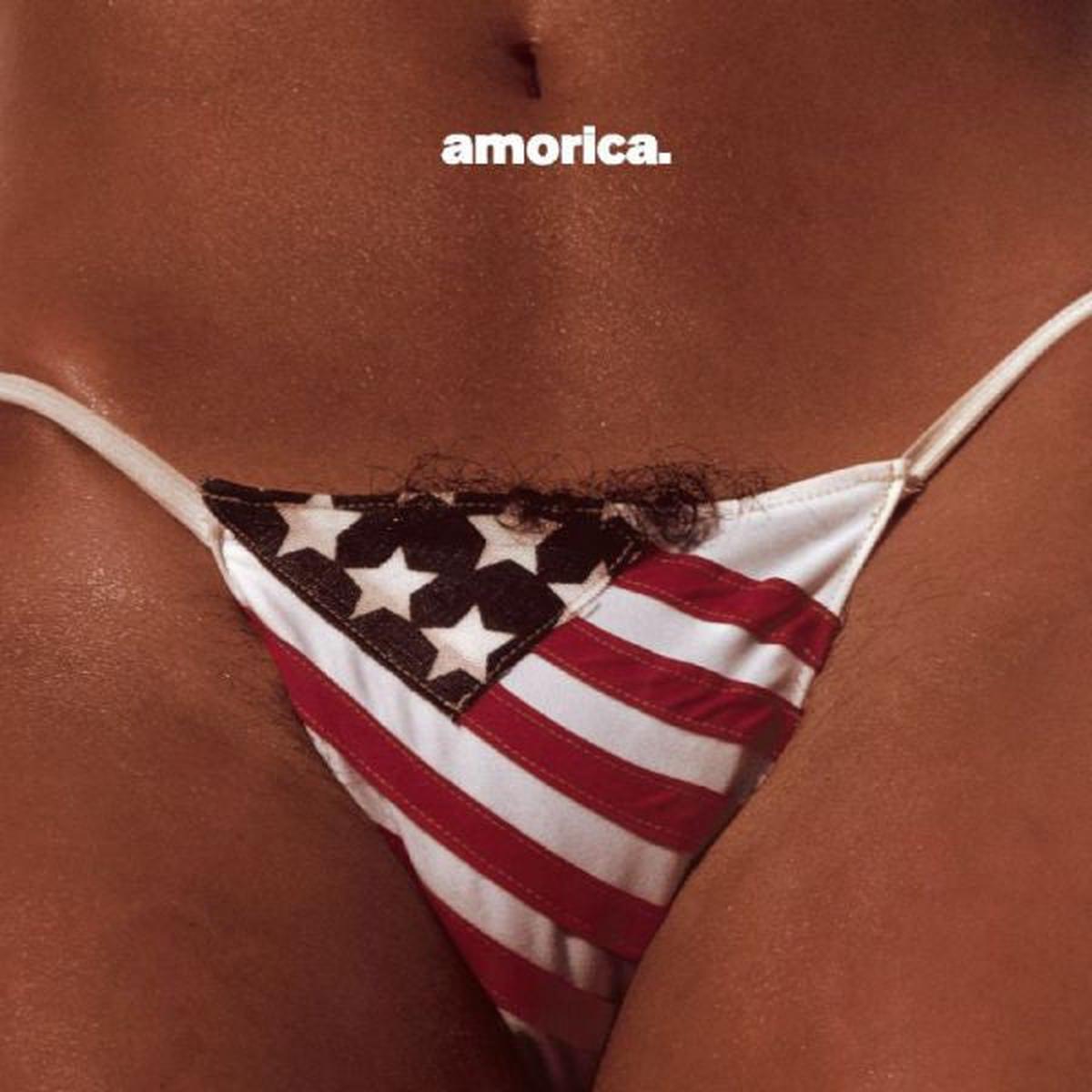 The Black Crowes - Amorica ( (Used Vinyl - NM) RM Marketplace