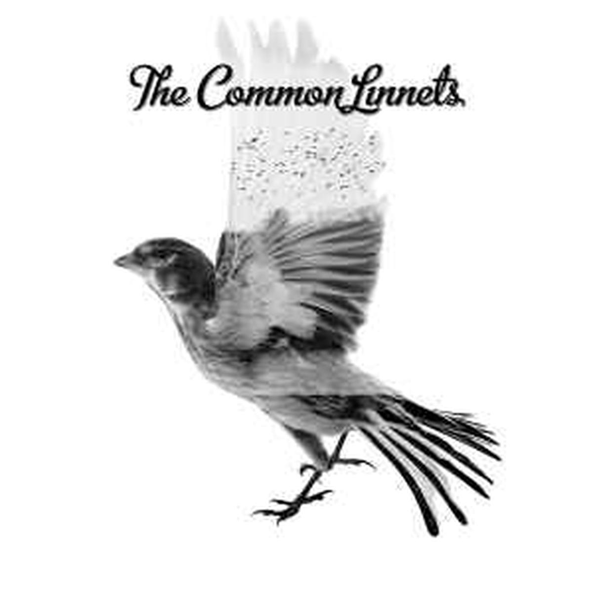 Common Linnets -- The Common Linnets
