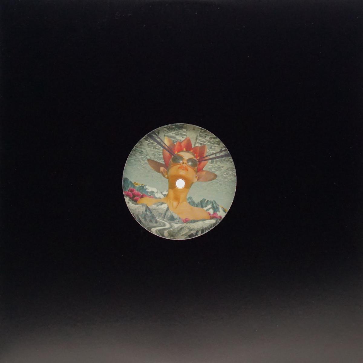 ADAM COLLINS MSR 002