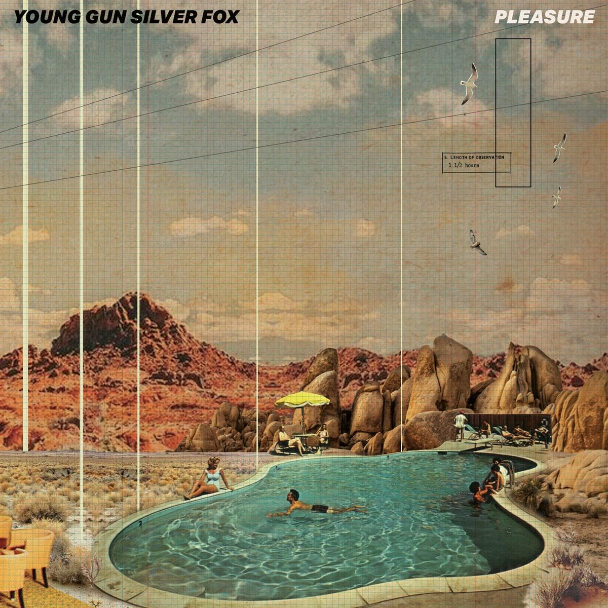 YOUNG GUN SILVER FOXPleasureCD