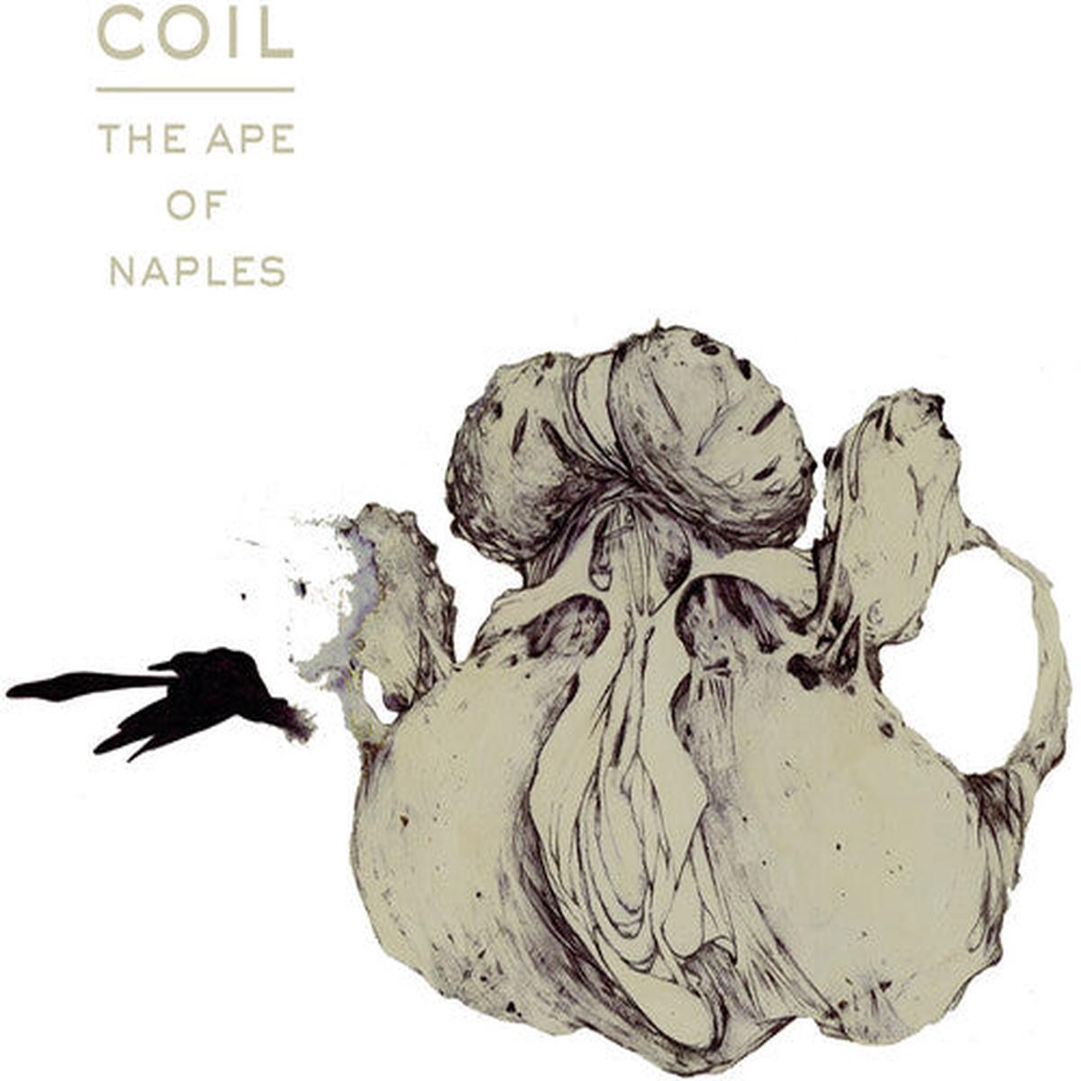 (PRE-ORDER 10/10/25) Ape Of Naples 3x VINYL) | Mint (M) Mint (M) - - EXPERIMENTAL *NEW*