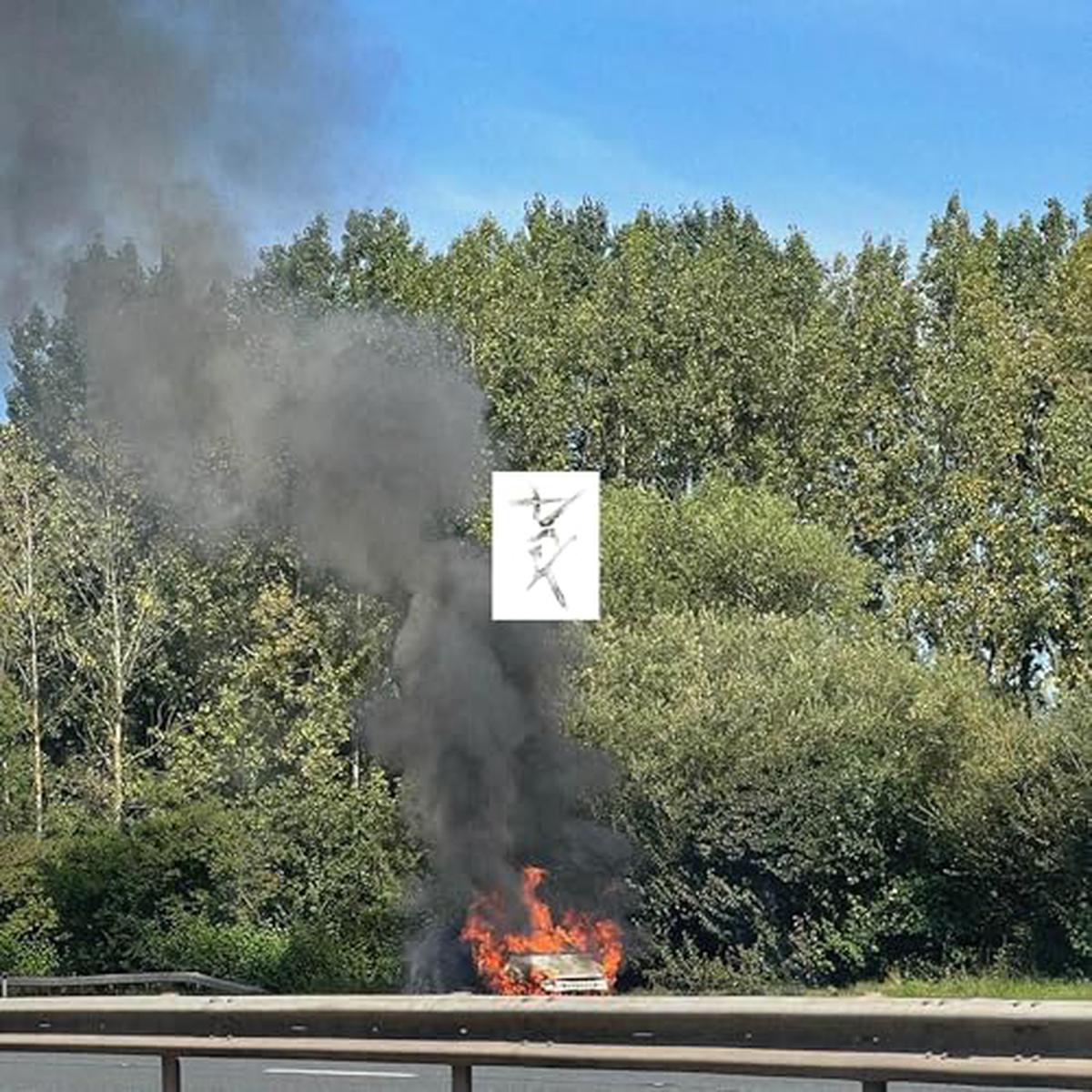 (PRE-ORDER 10/3/25) Dark (VINYL) | - Default Title